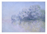 Claude Monet - Île aux Orties bei Vernon (1897)