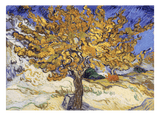 Vincent van Gogh - Maulbeerbaum (1889)