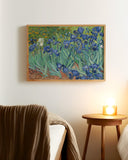 Vincent van Gogh - Schwertlilien (1889)