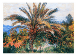 Claude Monet - Palme bei Bordighera