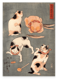 Utagawa Kuniyoshi - Vier Katzen in vier Posen