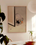 Ōide Tōkō - Katze beobachtet eine Spinne