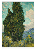 Vincent van Gogh - Zypressen