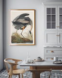 John James Audubon - Kranich auf Futtersuche