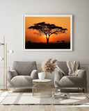 Afrikanischer Baum bei Sonnenuntergang