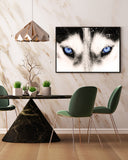 Blaue Husky-Augen