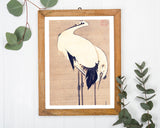 Itō Jakuchū - Zwei Kraniche