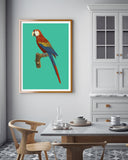 François Levaillant - Ara auf türkisem Hintergrund