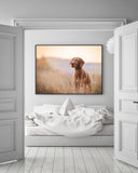 Jagdhund in der Natur