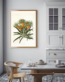 Ananas am Ananasbaum