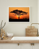 Afrikanischer Baum bei Sonnenuntergang