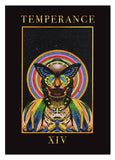 Tarot - Temperance