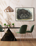 John James Audubon - Zwei Schwarzbären