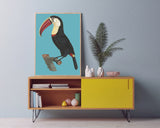 François Levaillant - Tukan auf türkisem Hintergrund