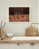 Hirsch in Abendstimmung