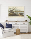 John James Audubon - Enten am Teich