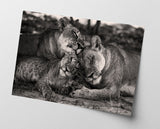 Kuschelnde Löwen in Schwarz-Weiß