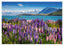 Blumenwiese in Bergsee-Landschaft