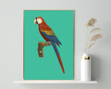 François Levaillant - Ara auf türkisem Hintergrund