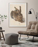 Albrecht Dürer - Feldhase