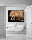 Fauchender Leopard