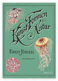 Ernst Haeckel - Kunstformen der Natur