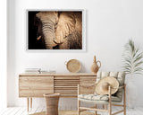 Elefant - Nahaufnahme