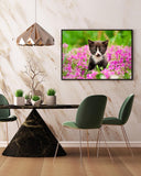 Katzen-Baby in Blumenwiese