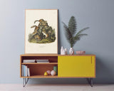 John James Audubon - Streifenhörnchen am Baumstamm