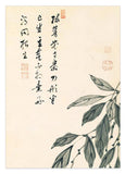 Itō Jakuchū - Sprossen
