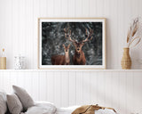 Hirsch-Paar im Winter