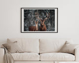 Hirsch-Paar im Winter