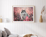 Husky in Blumenwiese