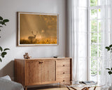 Hirsch in den Morgenstunden