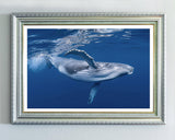 Blauwal unter Wasser