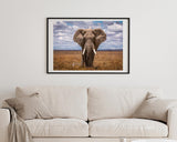 Afrikanischer Elefant