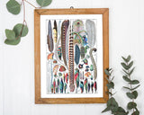 Adolphe Philippe Millot - Federn