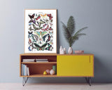 Adolphe Philippe Millot - Schmetterlinge