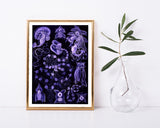 Ernst Haeckel - Kunstformen des Meeres in violett