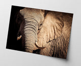 Elefant - Nahaufnahme