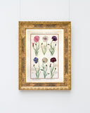 Eine Übersicht blühender Blumen