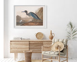 John James Audubon - Wasservögel am See