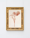 Zeichnung einer Distel