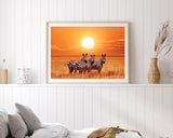 Zebras bei Sonnenuntergang