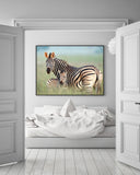 Zebra-Mama und Junges