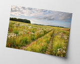 Weg auf einer Blumenwiese