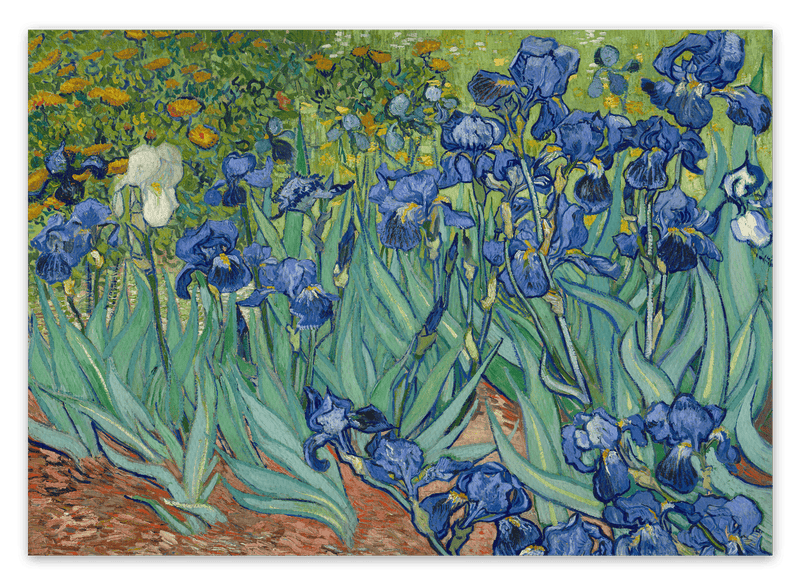 Vincent van Gogh - Schwertlilien (1889)