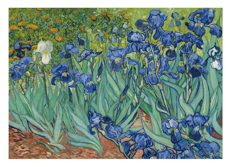 Vincent van Gogh - Schwertlilien (1889)