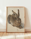 Albrecht Dürer - Feldhase