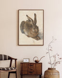 Albrecht Dürer - Feldhase